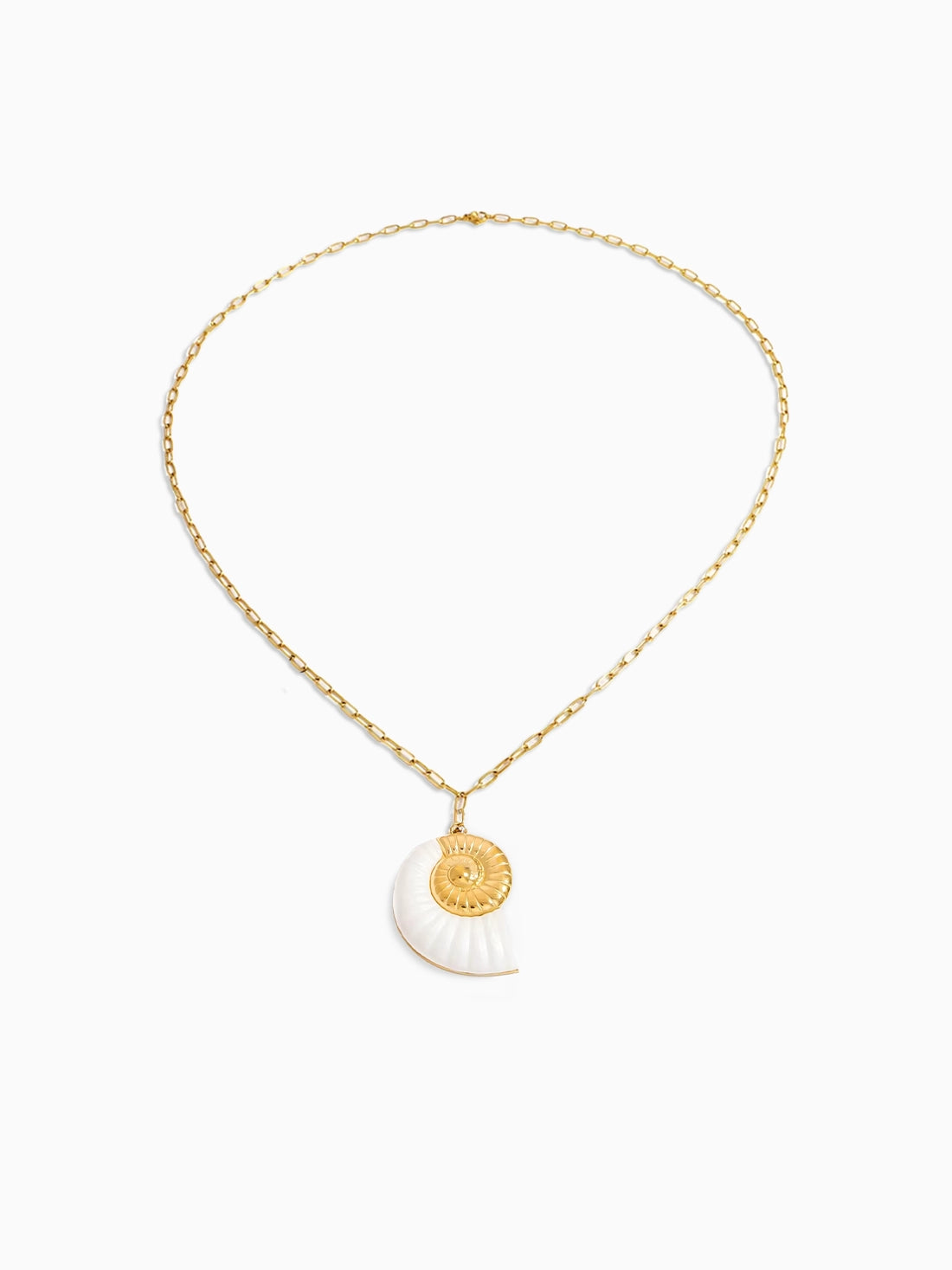 White Shell Necklace