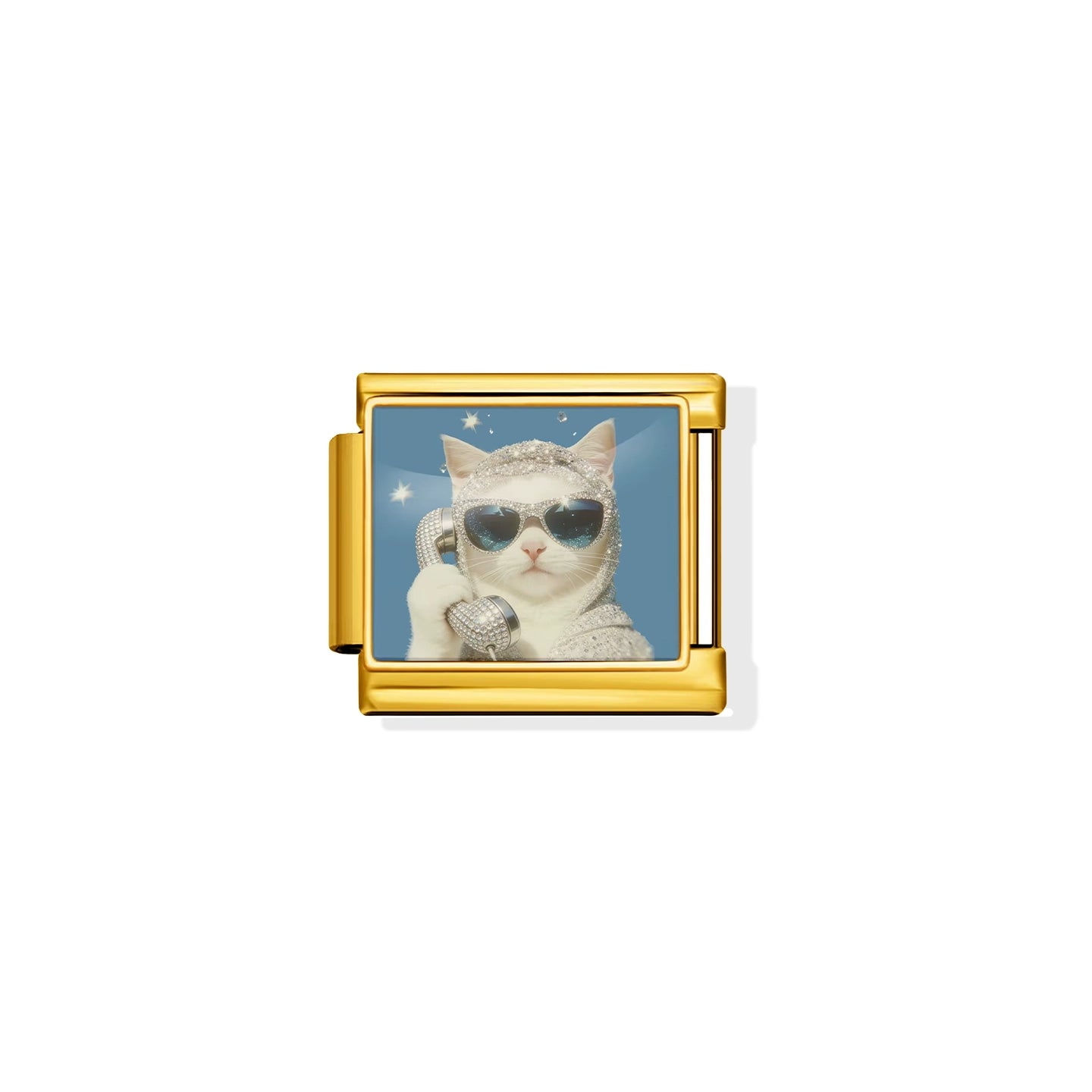 Cool Cat Charm