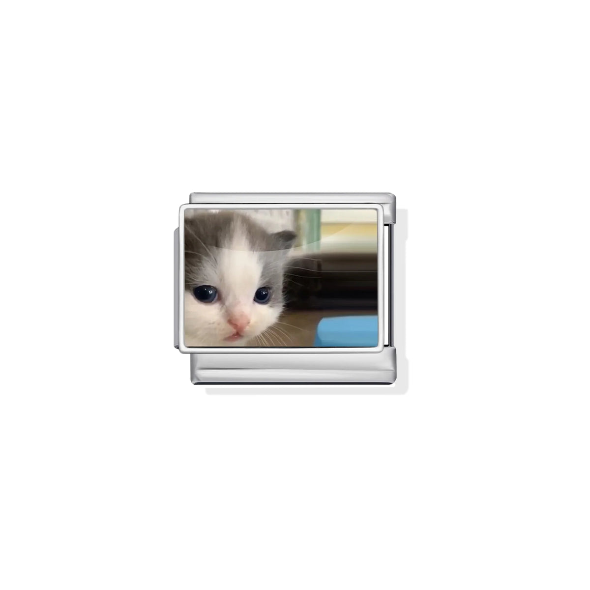 Curious Kitten Charm