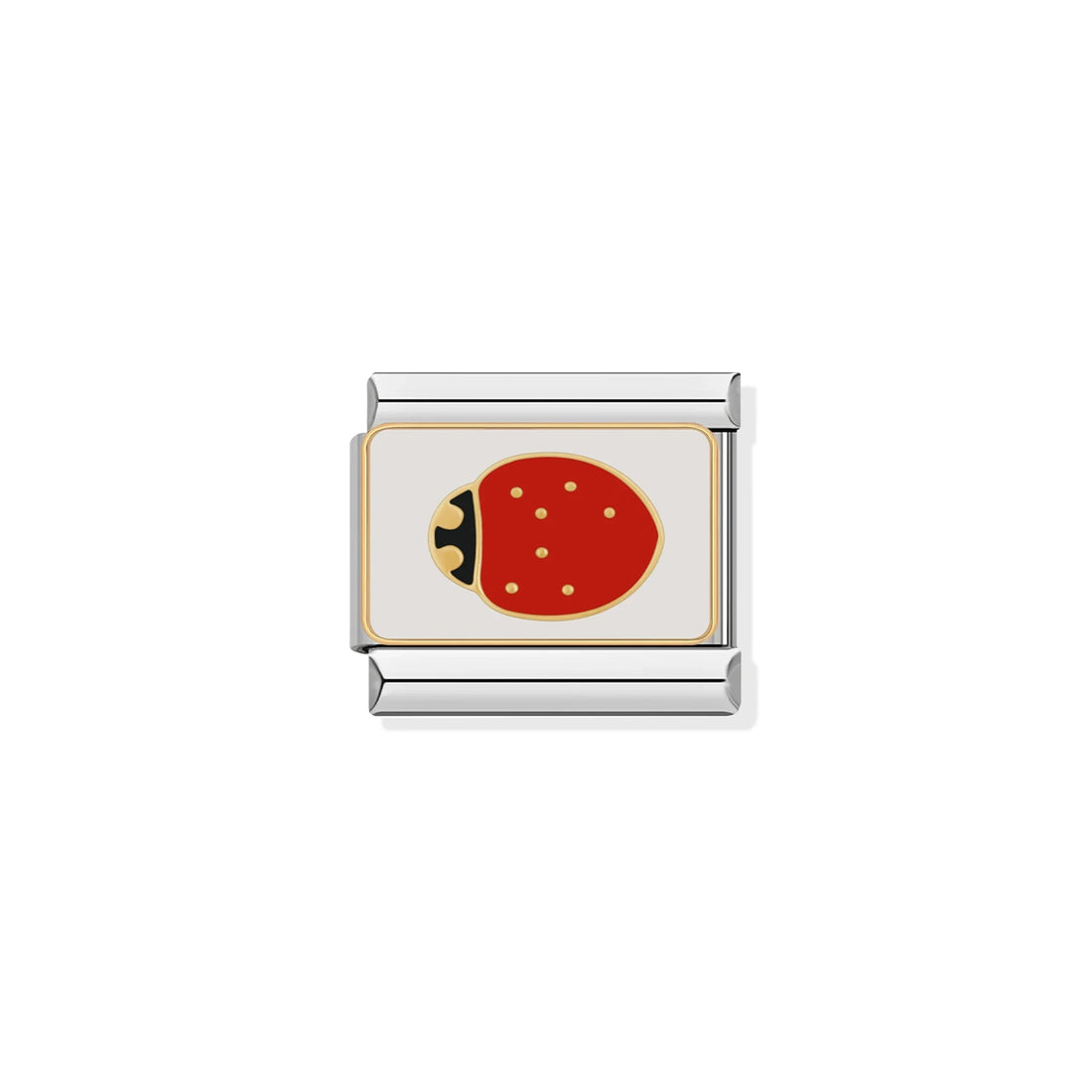 Ladybug Silver Charm