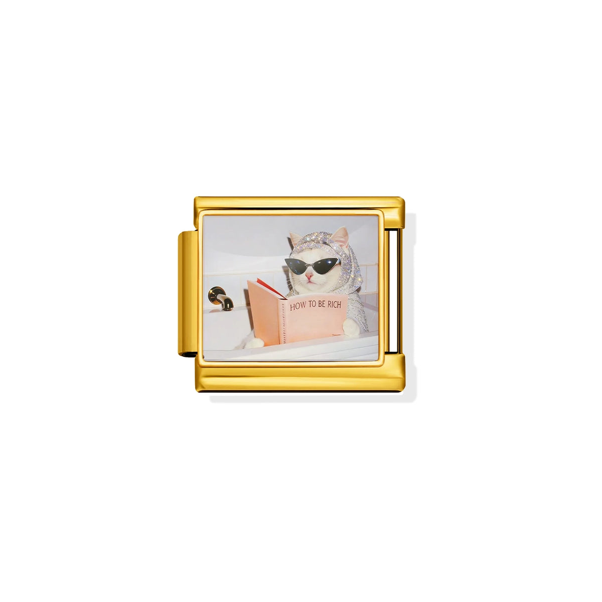 Rich Cat Energy Charm